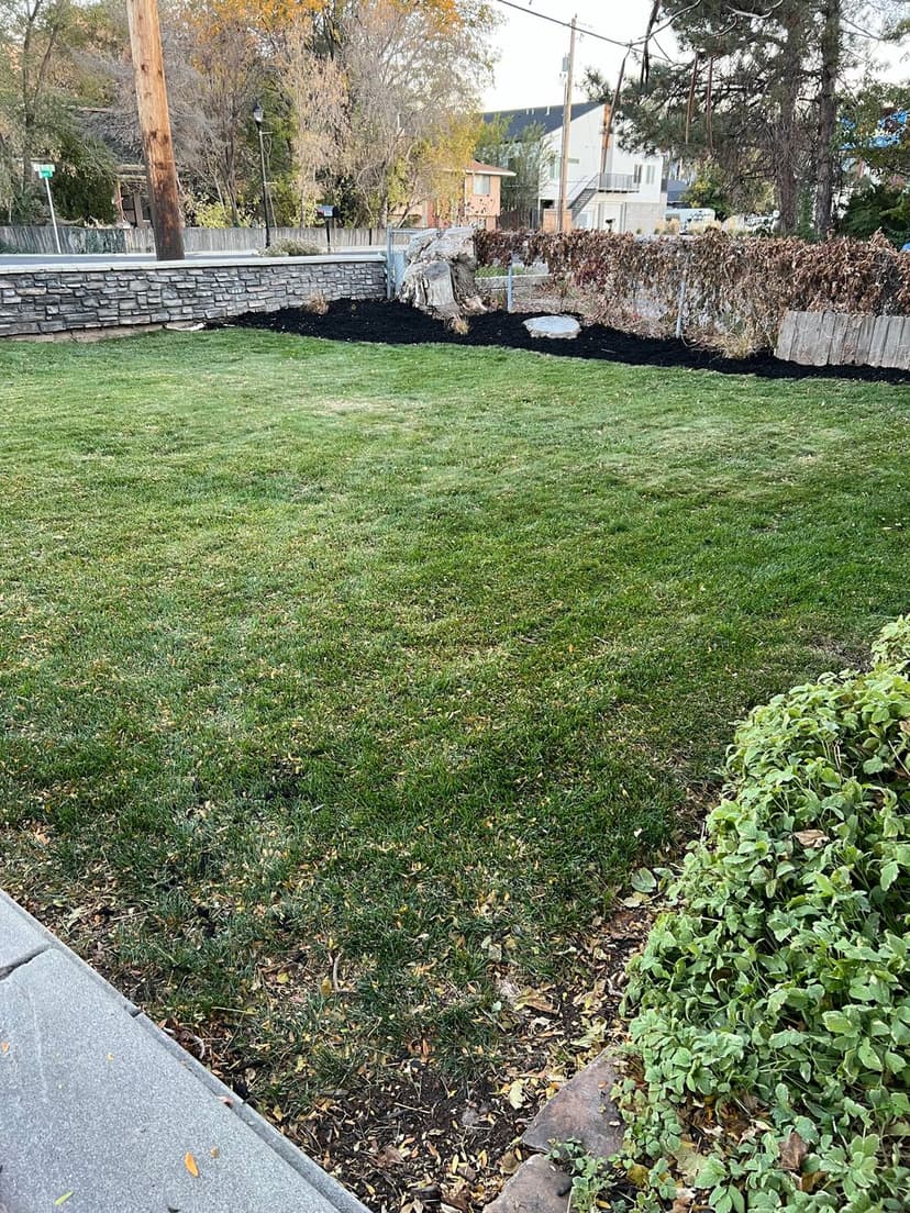 Premier Landscaping Service Award 2023's image